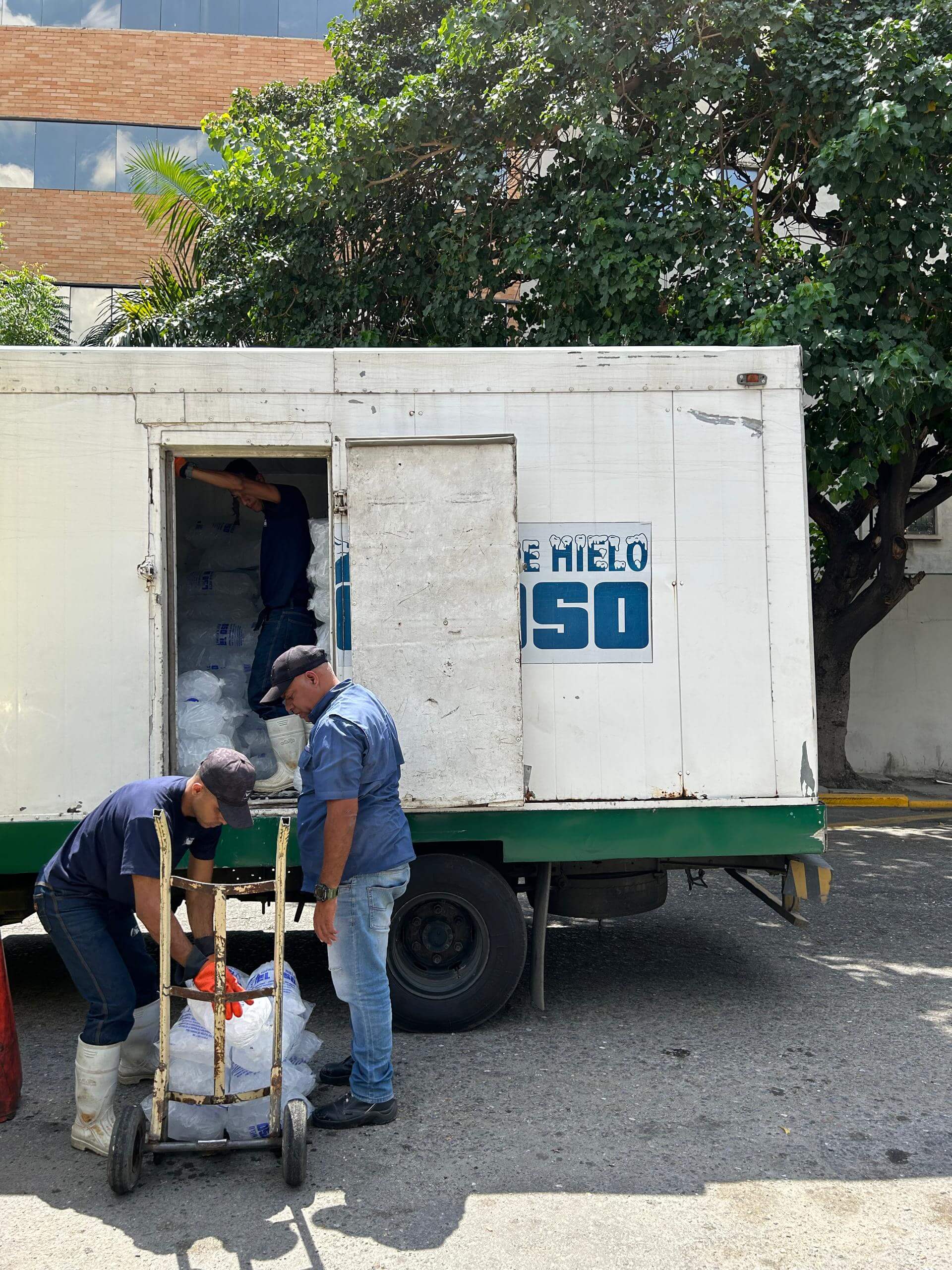 Trabajador de hiel el oso