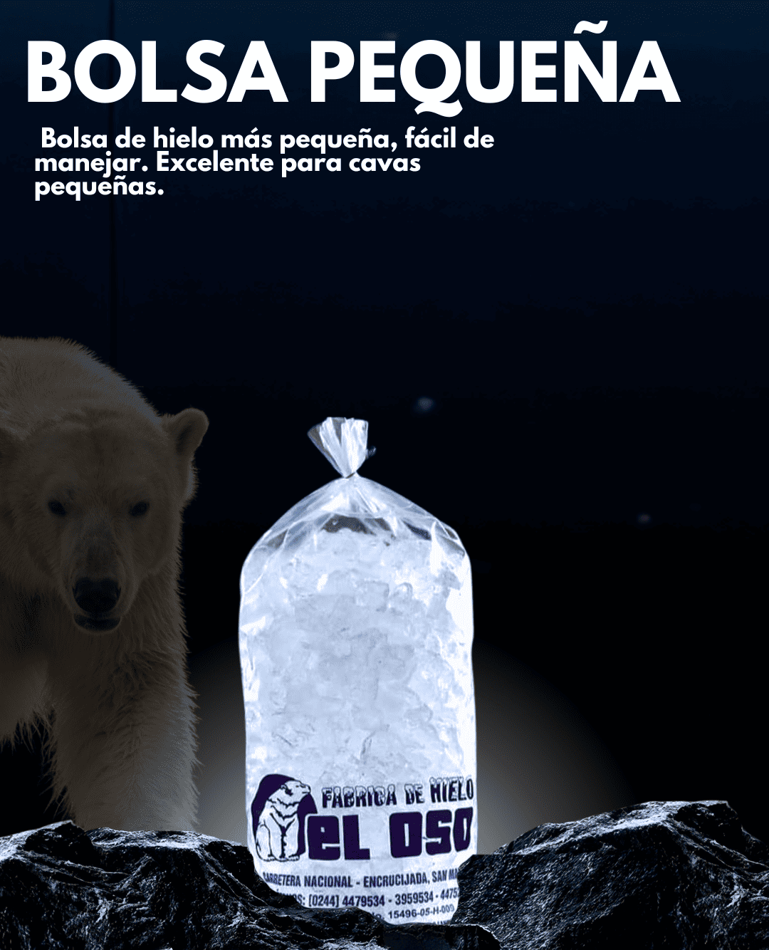 presentacion de hielo 4